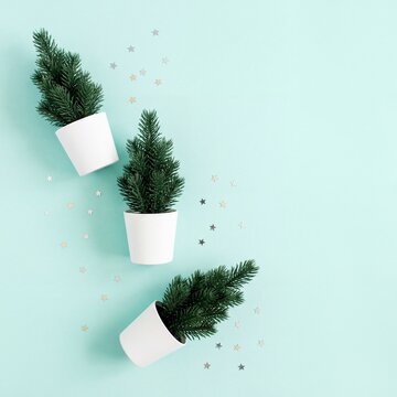 Minimalist Christmas trees in white pots on mint background, small pine tree decorations with silver star confetti, festive holiday flat lay.