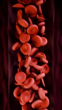 Vertical video: Pushing red biconcave disks, pressure pulse driving down narrow tube, warm light
