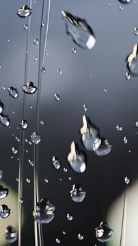 Vertical video: Shifting from camera motion, water beads on filaments merging and sliding downward
