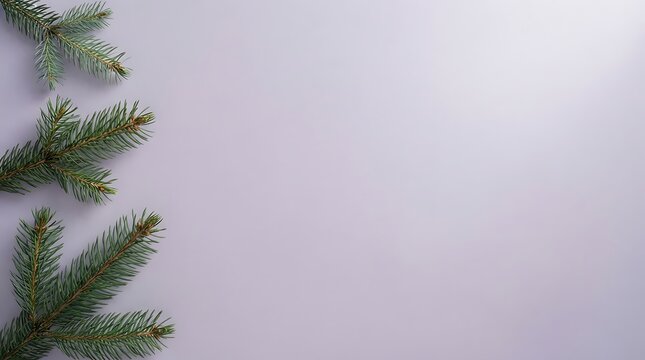 Minimalist flat lay with fresh green eucalyptus branches and neutral background