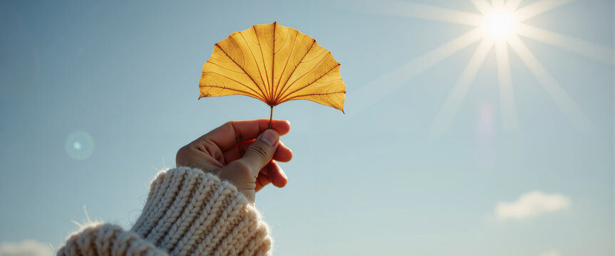 Hand holding vibrant yellow ginkgo leaf against blue sky for autumn nature sites, mindfulness graphics, Thanksgiving gratitude websites