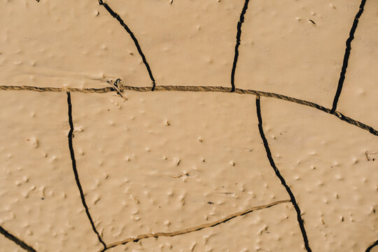 Dry Ground Material Featuring Intersecting Fine Cracks and Small Bumpy Earth Details