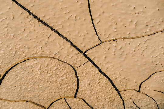 Weathered Dry Mud Soil Surface Showing Deep Fractures, Fine Cracks and Granular Earth Patina