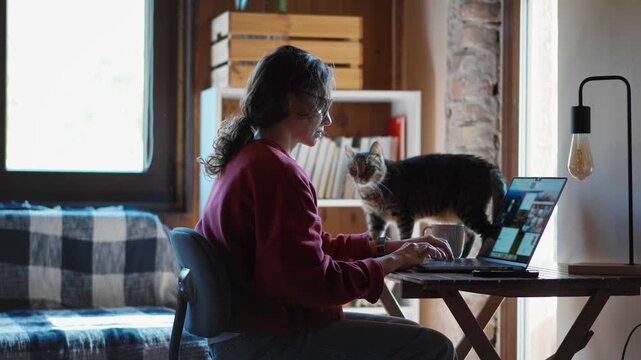 Young woman working from home in a cozy home office with her cute cat standing on the desk beside her laptop, capturing remote work and everyday life with pets.