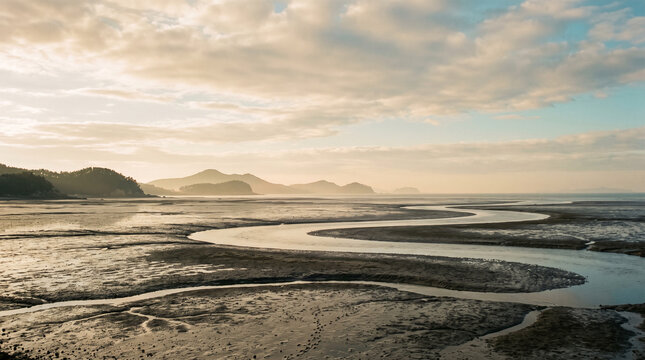 natural coastal landscape photography of mudflats and distant hills at sunset
