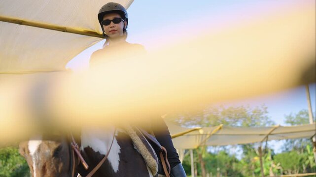 Young Asian woman mounting horse with stirrup and getting on saddle at outdoor training arena