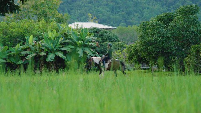 Young Asian woman riding horse through green meadow with tropical trees and mountain landscape