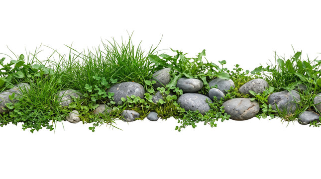 Seamless border of fresh green grass, clover and grey river stones isolated on white background. Macro photo of garden vegetation and pebbles.