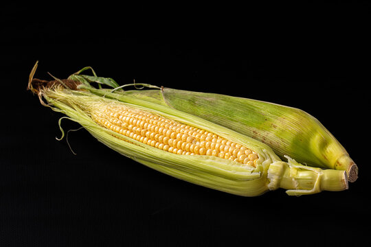 Green husk and yellow kernels resting on dark surface, fresh sweetcorn cob