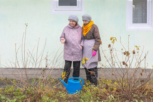 Two elderly women tending an overgrown garden beside a house in autumn. Older friends working together outdoors. Gardening, companionship and active aging. Seasonal yard care and community