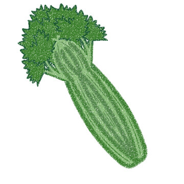 fresh green celery