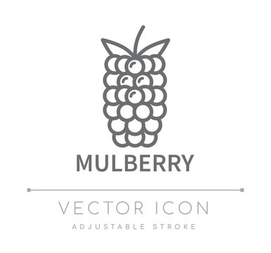 Mulberry Line Icon