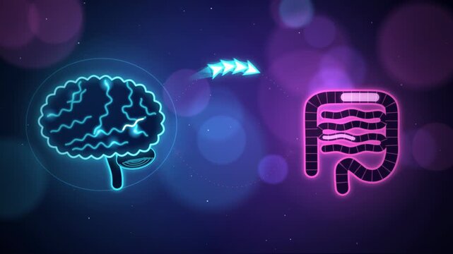 Glowing Neon Gut-Brain Axis Animation with Two-Way Signals Between Brain and Intestines, Digestive Health Concept Seamless Loop Video