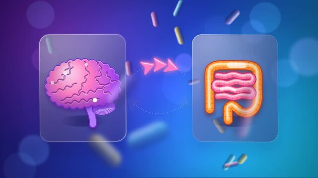 3D Glass Cards with Glossy Brain and Intestine Icons, Gut-Brain Communication Animation with Probiotic Capsules Seamless Loop Video