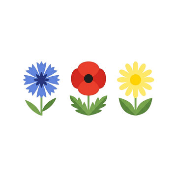 Minimalist flat vector illustration of three vibrant wild flowers, featuring a blue cornflower, red poppy, and yellow daisy, collection isolated on transparent background for graphic design.
