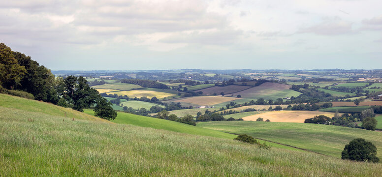 rural countryside of devon in england
