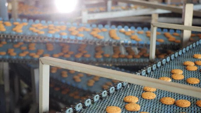 Freshly baked oatmeal cookies move along a conveyor belt at an industrial bakery. Automated cookie production line in a large food manufacturing factory.