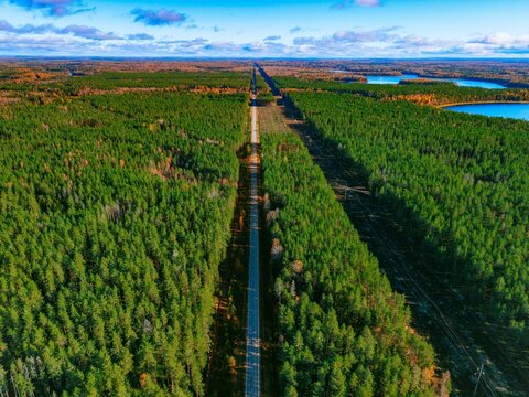 Aerial view of straight asphalt road along power line clearing prosek and dense green forest