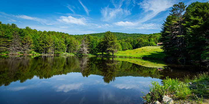 Forest Reflected in a Pond near Langdon New Hampshire