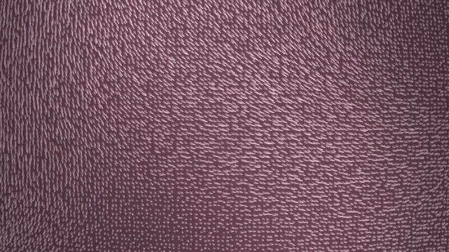 Detailed extreme close-up view showing thousands of tiny metallic bristles swaying rhythmically across a textured surface