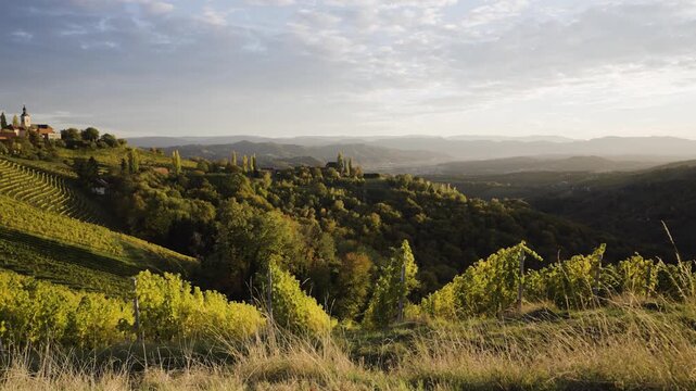 Herbstliche Weinberge und bewaldete H&uuml;gel im weiten Panorama der S&uuml;dsteiermark