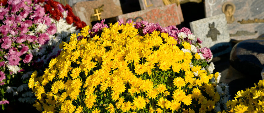 Un gros bouquet de chrysanth&egrave;me jaune en gros plan et d'autres bouquets d&eacute;corent une tombe dans un cimeti&egrave;re en France, &agrave; la Toussaint