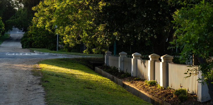 country lane with overhanging trees, Stanford, South Africa