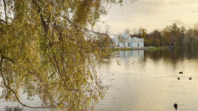 Willow branches frame the distant Grotto Pavilion across the lake in Catherine Park, Pushkin, Russia, in slow motion. Ducks float gently to create peaceful, calming emotions.