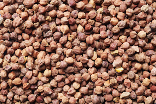 Heap of dried brown chickpeas filling the frame as a natural food background