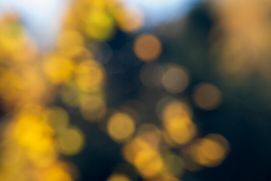 Abstract autumn background with blurred golden yellow birch leaves, warm amber bokeh lights and deep blue tones, creating a soft seasonal nature backdrop with copy space.