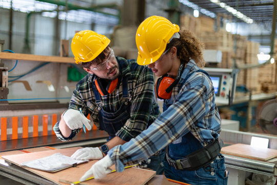 Measuring plywood for woodworking, a carpenter uses a tape measure while her colleague points with a pencil beside the panel saw.