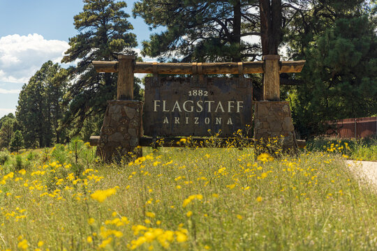 Historic Flagstaff Arizona Welcome Sign Surrounded by Yellow Wildflowers and Pine Trees