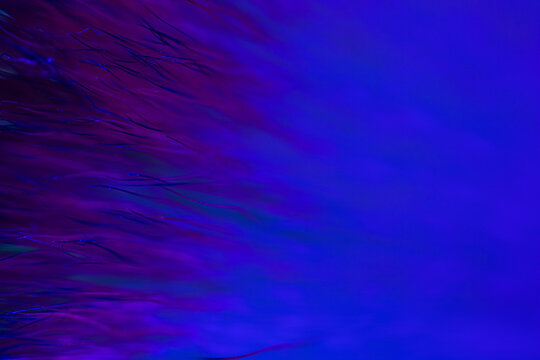 Thin dark filaments, minimalist cyberpunk backdrop, blue copy space right