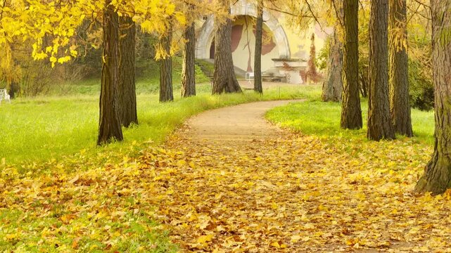 Yellow fallen leaves carpet a winding path leading toward the Great Caprice arch in slow motion. Autumn trees frame Catherine Park, Pushkin, Russia, filling the air with serene warmth.