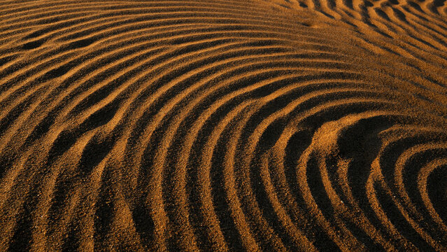 Golden brown sand dunes with rhythmic wind-swept wave patterns, deep shadows and sunset light on desert surface texture