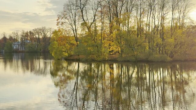 Autumn trees reflect gently on the surface of the Great Pond in Catherine Park, Pushkin, Russia. Soft evening light fills the golden scene, evoking peaceful, tranquil feelings.