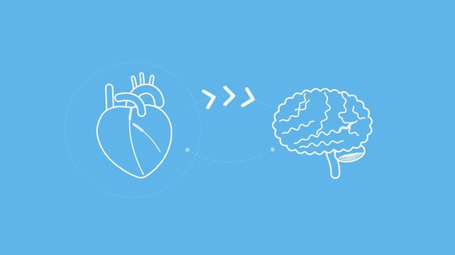 Minimal White Line Icons of Beating Heart and Brain with Two-Way Arrows on Plain Blue Background, Heart-Brain Axis Animation, Seamless Loop 