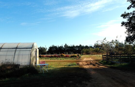 Farm fields, greenhouse, and blue sky