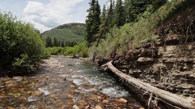 Beautiful Crystal Clear Rocky Mountain Stream Flowing In Colorado 