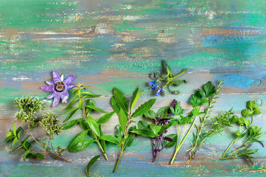 Passionflower and Herbs on a Painted Board