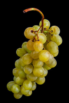 Green Grape Cluster on Black Background