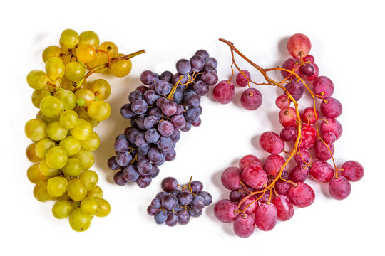 Three Grape Clusters on White