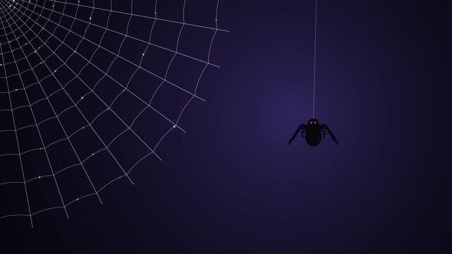 Seamless loop of spider hanging on a silk thread beside a glistening corner spider web on dark background, Halloween frame