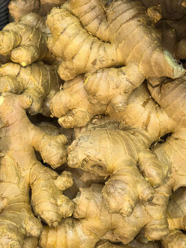 Fresh ginger roots piled in a golden market display
