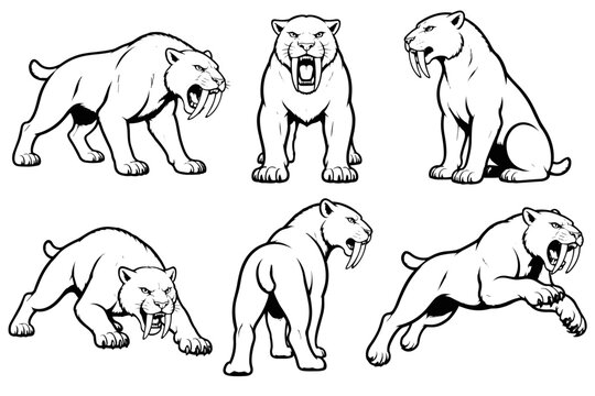 Saber-toothed cats in expressive black and white line art