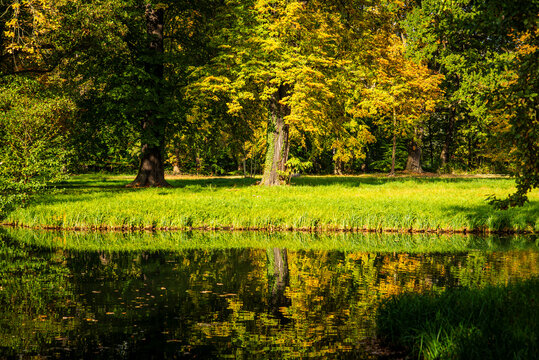 Parklandschaft mit goldenem Laub am Schloss L&uuml;bbenau