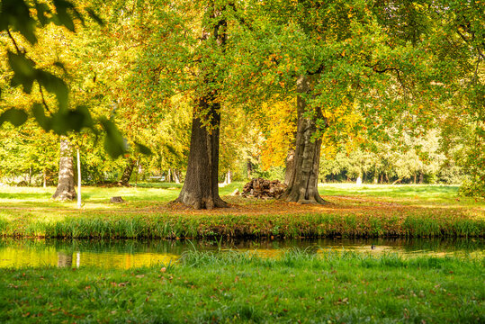 Herbststimmung zwischen alten B&auml;umen im Spreewald