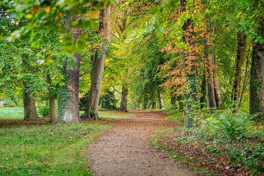 Idyllische Herbstlandschaft rund um Schloss L&uuml;bbenau