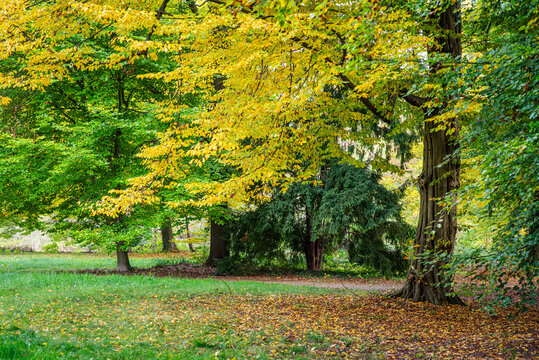 Herbstliche Natur und historische Architektur im Spreewald