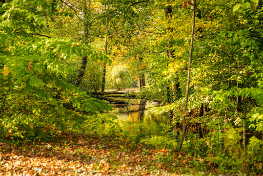Farbenfroher Herbst im Spreewald bei Schloss L&uuml;bbenau